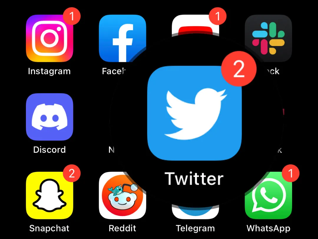 An iPhone screenshot showing a list of social media apps, with the Twitter icon, magnified.