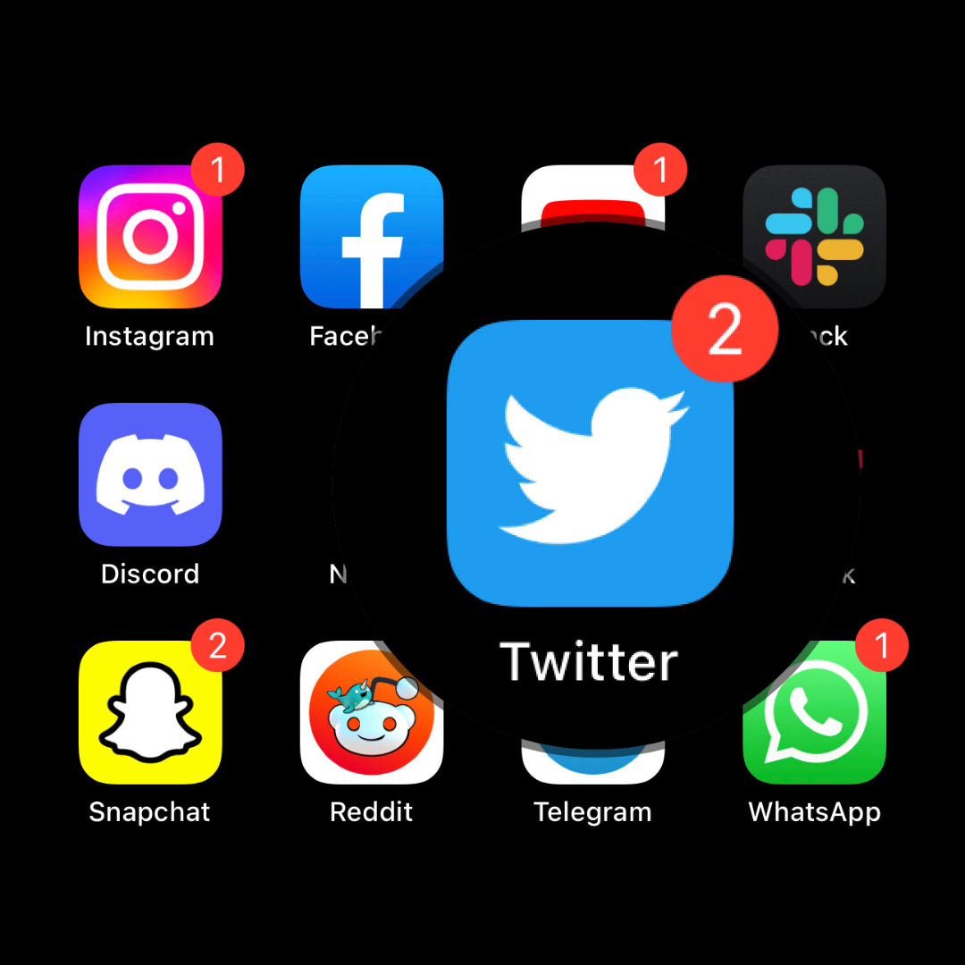 An iPhone screenshot showing a list of social media apps, with the Twitter icon, magnified.