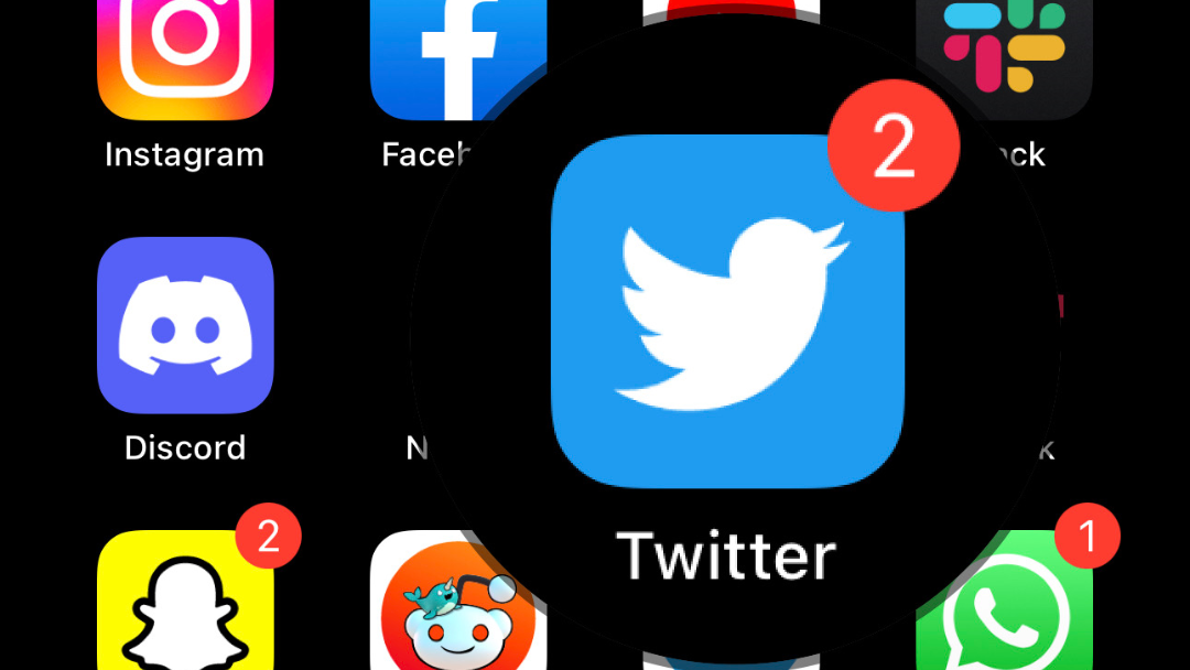 An iPhone screenshot showing a list of social media apps, with the Twitter icon, magnified.